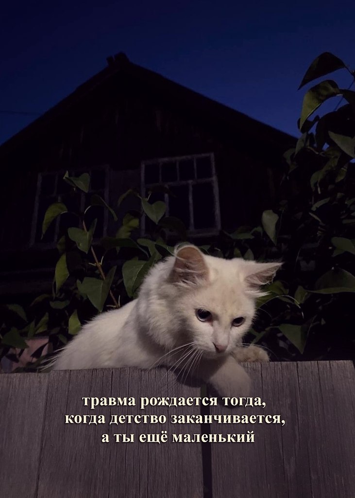  - 15  2025  07:10 - 7