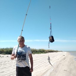  , 58, 
