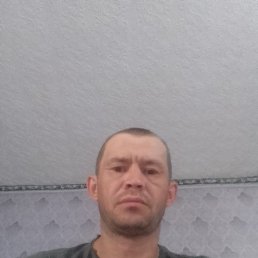 , 37, 