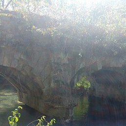 ������, �����������, 61 ���