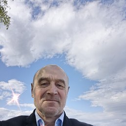 , 61, 
