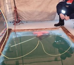 �����������