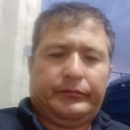 ����, ������, 41 ���