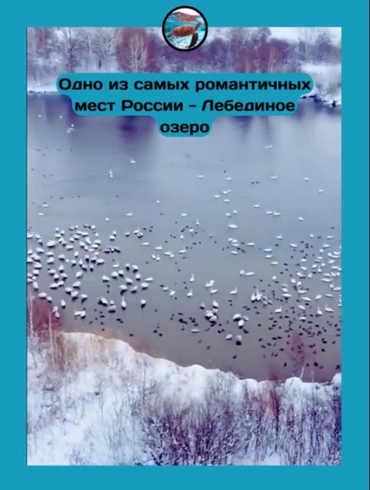  ,     ,    .  ... - 2