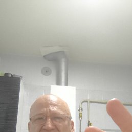 , 53,  