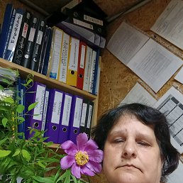, 52, 