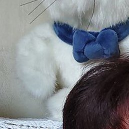 ���������, �������, 57 ���