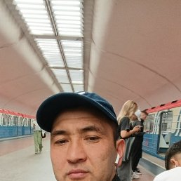  , 41, 