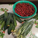 ���� ������, ������ - ��������� 29 ������� 2024 � ������ ���� ����������