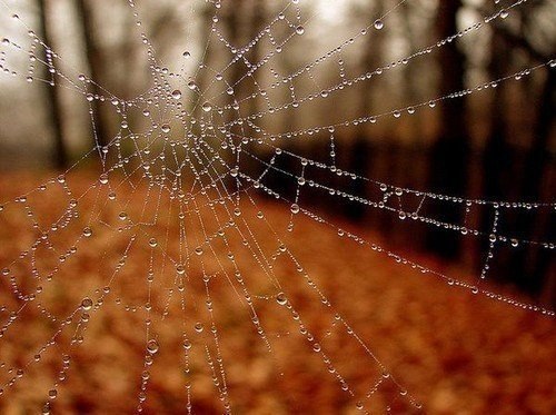 Устала… Мне бы отдохнуть… Сложить заботы ровной стопкой… И не оглядываясь, в путь уйти по незнакомой ... - 2