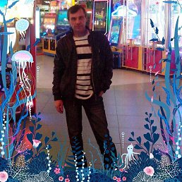 ���� ������ ������, ������, 59 ��� - ��������� 15 ������� 2026