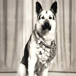 �����, �������, 26 ���