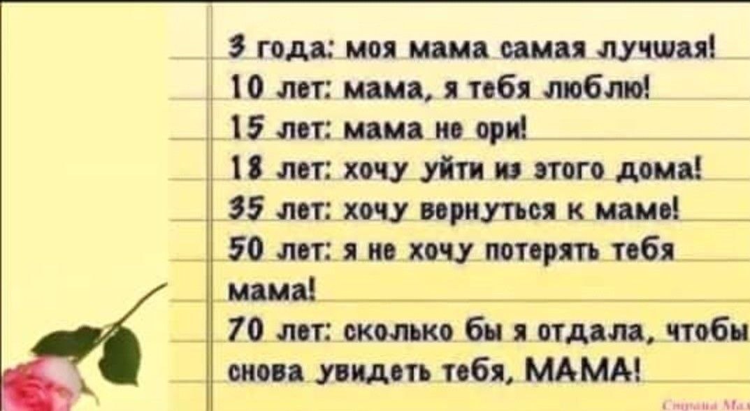   - 29  2025  13:39