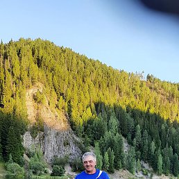 ����, ����, 54 ����