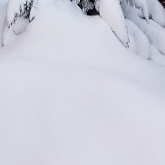 ������, 53 ����, ����