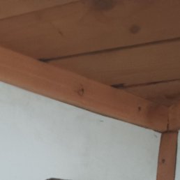 ������, 37 ���, ������