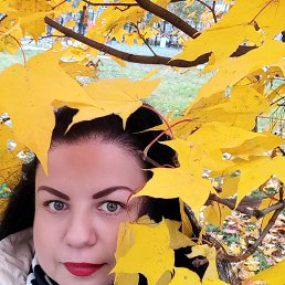 , 38, 