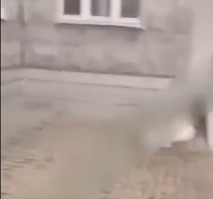     ,    .     ...