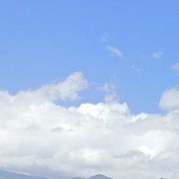 �������, ������, 40 ���