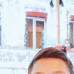 ���� Shamshod, �����-���������, 26 ��� - ��������� 1 ������� 2024