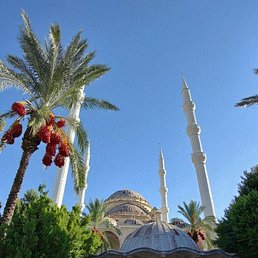 Olga, ������, 30 ���