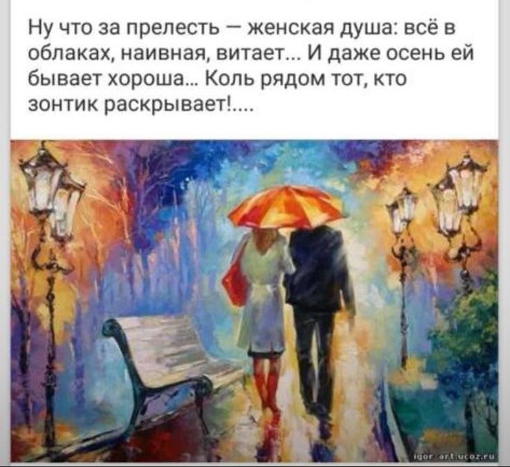   ,    . - 28  2025  16:05