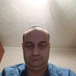 ���������, 41 ���, ���������