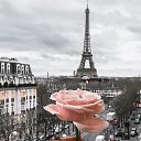 ���� ������, ��������, 31 ��� - ��������� 21 ������ 2024 � ������ ���� ����������