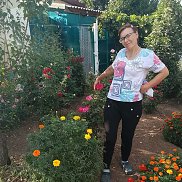 , 41 , 