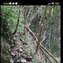 ���� ����, ������-��-����, 66 ��� - ��������� 3 ���� 2025 � ������ ���� ����������