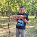  , -, 50  -  28  2025    