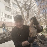 , 39 , 