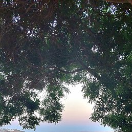 �������, ������, 49 ���