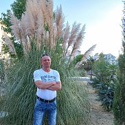 �������, 60 ���, �������