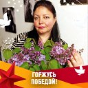 ���� ����, ����� - ��������� 8 ��� 2026 � ������ ���� ����������
