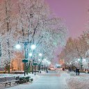 ���� �����, ������������ - ��������� 14 ������� 2025 � ������ ���� ����������