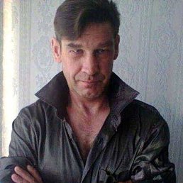 , 50 , 
