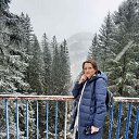 ���� �����, ����� - ��������� 26 ������� 2024 � ������ ���� ����������