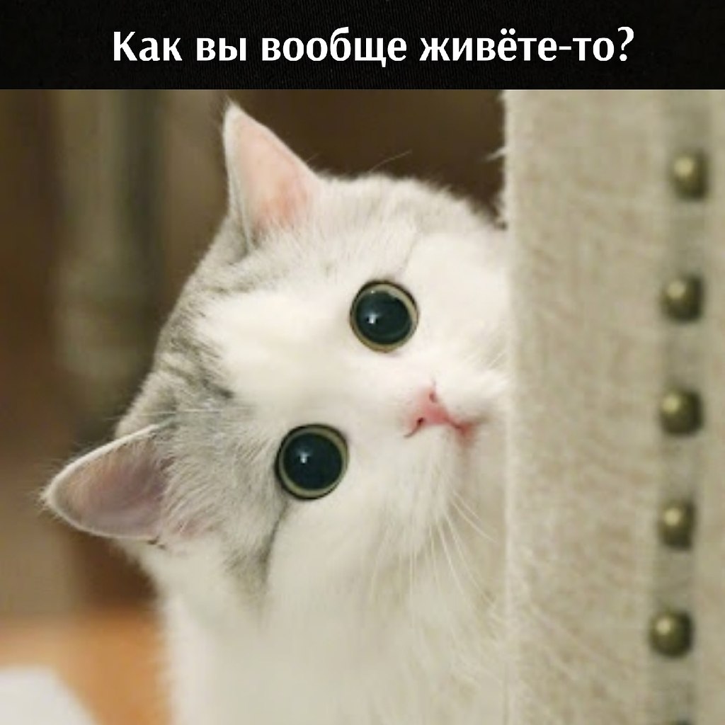       - 23  2025  16:22 - 2