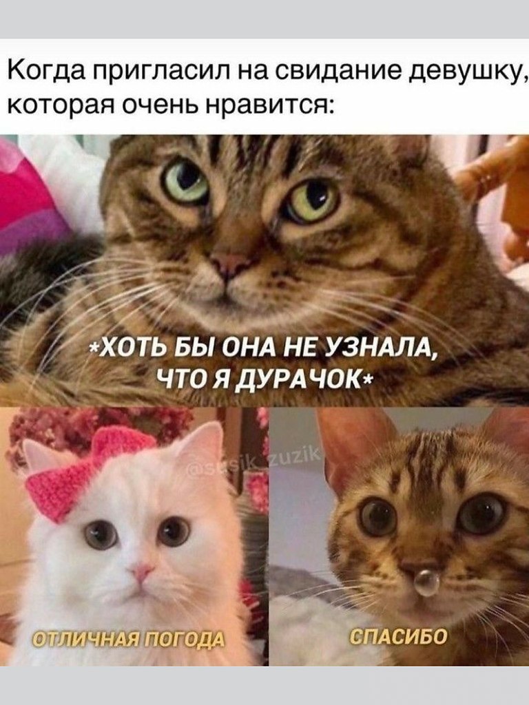   - 1  2024  15:50
