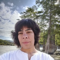 , 33, 