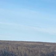 �������, 39 ���, ���������