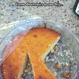 Leon, ����, 37 ���