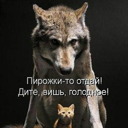 ���� ��, ������ - ��������� 19 ������� 2026