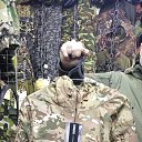 ���� ����, ������, 46 ��� - ��������� 16 ����� 2024 � ������ ���� ����������