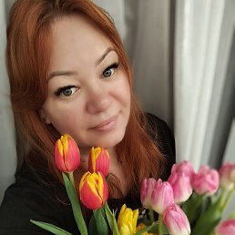 �����, 41 ���, ����������