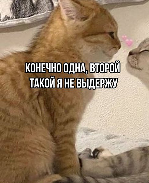     - 3