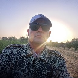, 56, 