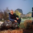 ���� ��������, ������, 50 ��� - ��������� 1 ������ 2026 � ������ ���� ����������