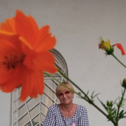 ���������, ���������, 65 ���